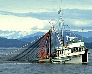 Статья о рыболовных судах